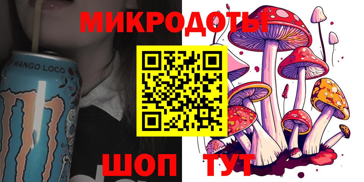 Галлюциногенные грибы Psilocybe  Вход с VPN  Старая Русса 
